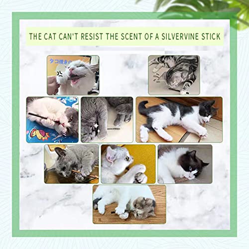 Zabawka dla kotów, mycie zębów, kocimiętka, zabawka dla kotów, zabawka aktywna, zgrzytanie zębami, zabawka do żucia dla kotów - obrazek 5