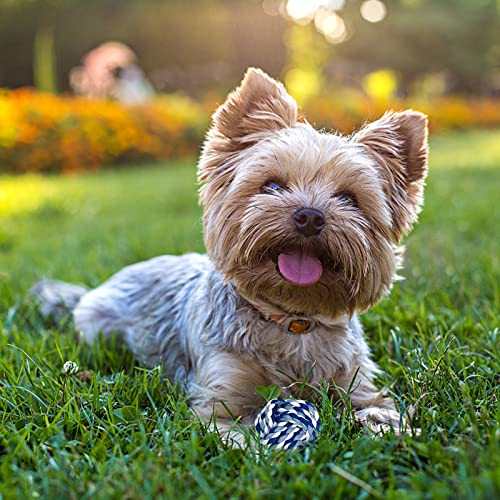 YUEHAO 20 sztuk zabawek dla psów, piłka do żucia, wytrzymałe zęby do żucia, trwała, zestaw do treningu zębów dla małych/średnich/dużych, psów, pielęgnacja zębów, z naturalnej bawełny - obrazek 2