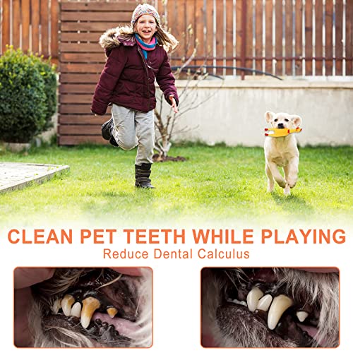 YUEHAO 20 sztuk zabawek dla psów, piłka do żucia, wytrzymałe zęby do żucia, trwała, zestaw do treningu zębów dla małych/średnich/dużych, psów, pielęgnacja zębów, z naturalnej bawełny - obrazek 5