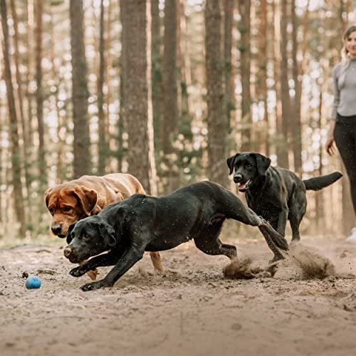 Rudelkönig piłka dla psa z naturalnego kauczuku - Niebieska piłka o średnicy 6,5 cm - Prawie niezniszczalna zabawka dla psa wraz z praktyczną torbą do przechowywania - obrazek 4