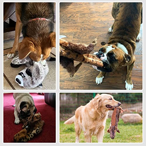 onebarleycorn Piszczące zabawki dla psów, bez wypchania, niezniszczalne, miękkie, pluszowe zabawki dla psów, dla małych, średnich i dużych psów (2 sztuki, wilk szop) - obrazek 3