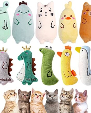 iYInJuan Zabawka dla kotów, 10 sztuk, zabawka dla kota z kocimiętką, zestaw zabawek dla kotów, poduszka dla kota, interaktywna zabawka do żucia, do zabawy wewnątrz i na zewnątrz, do żucia, mycia zębów