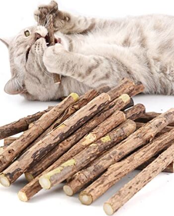 Patyczki kocie koty, szlifowanie zębów zabawka do żucia dla kota kocia