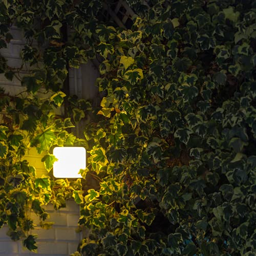 Garza Smarthome inteligentny reflektor LED, Wi-Fi, 24 W, możliwość ściemniania, białe światło, ze zmianą intensywności, temperatury i koloru, programowalny, kompatybilny z Amazon Alexa i Google Home - obrazek 3