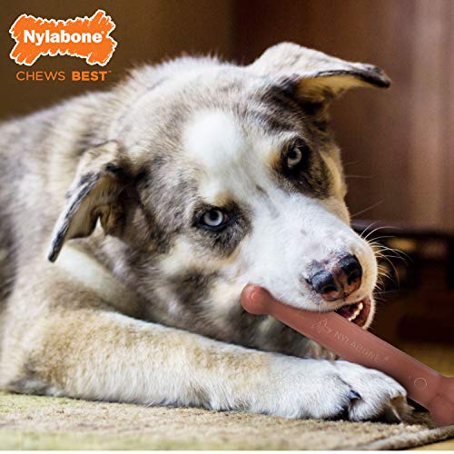 Nylabone 982904 Dura Power Chew, w kształcie kości, dwupak o smaku boczku i kurczaka, dla dużych psów (do 23 kg), L - obrazek 4