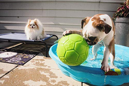 Horsemens Pride Inc. Jolly Pet Jolly piłka nożna - 8" Green Apple - Gr - obrazek 5