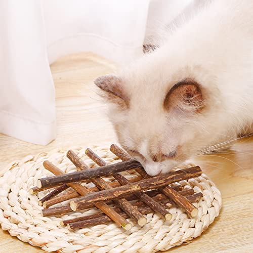 Patyczek do zabawy dla kota mycie zębów kot mięta - obrazek 6