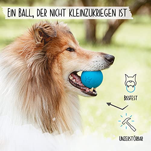 Rudelkönig piłka dla psa z naturalnego kauczuku - Niebieska piłka o średnicy 6,5 cm - Prawie niezniszczalna zabawka dla psa wraz z praktyczną torbą do przechowywania - obrazek 6