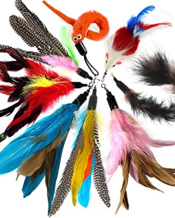 8 Sztuk Piór dla Kotów, Zabawka