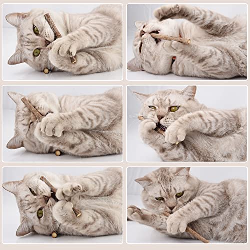 onebarleycorn - Patyczki kocie koty, szlifowanie zębów zabawka do żucia dla kota kociaka 100% organiczne naturalne matatabi stomatologiczne, opakowanie 30 szt. - obrazek 7