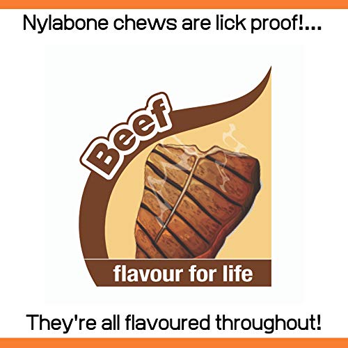 Nylabone Ekstremalnie wytrzymały pies zabawka do żucia, pleciony kijek byka, smak wołowiny, nieuporządkowany, duży, dla psów do 23 kg - L - obrazek 4