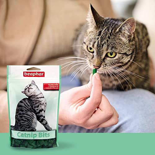 BEAPHAR - bity Cat Nip - dla kotów - kocimiętka, słód - wspierają zdro - obrazek 3