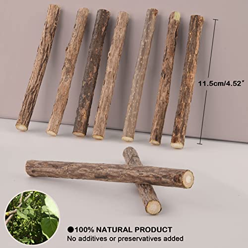 onebarleycorn - Patyczki kocie koty, szlifowanie zębów zabawka do żucia dla kota kociaka 100% organiczne naturalne matatabi stomatologiczne, opakowanie 30 szt. - obrazek 8