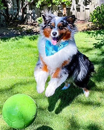 Horsemens Pride Inc. Jolly Pet Jolly piłka nożna - 8" Green Apple - Gr - obrazek 3